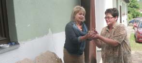 Követendő: csibéért gyógynövény Csibéért gyógynövény