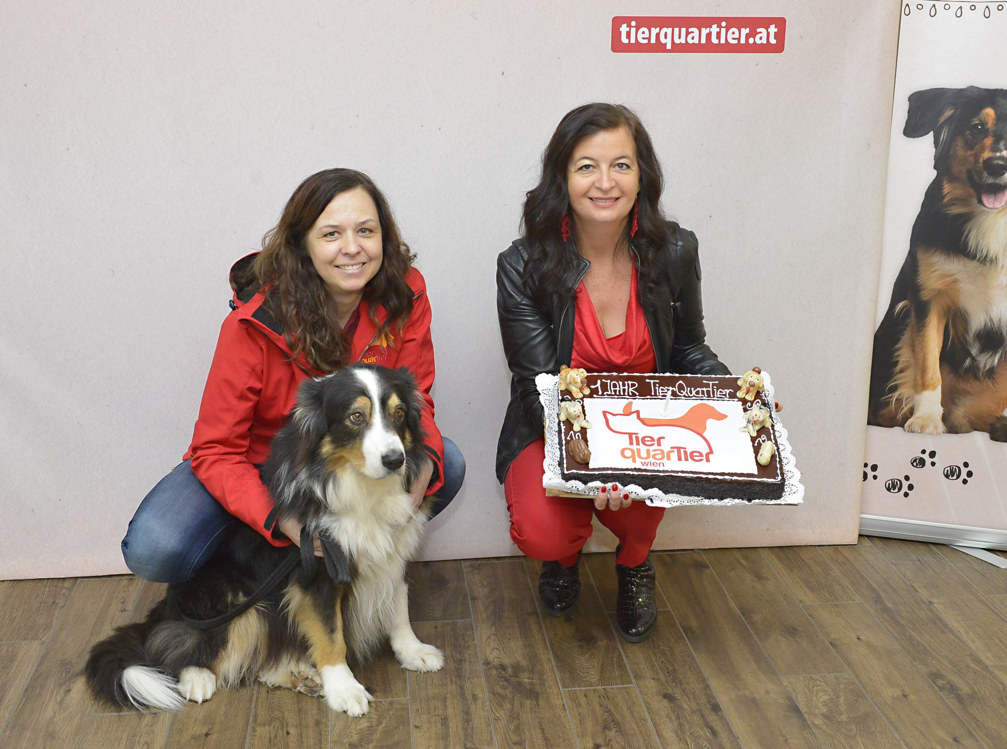 Környezetbarát állatmenhely Bécsben Környezetbarát állatmenhely Bécsben