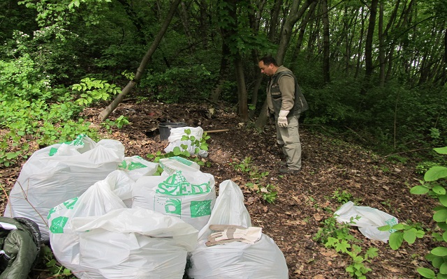 Sikeres Te szedd akció!