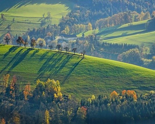 Több ezer pályázat a Magyar falu-programra Magyar falu-porgarm