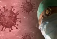 Oroszország elsőként végezhet a Covid-19-vakcina kifejlesztésével Koronavírus- vakcinafejlesztés