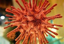 Engedélyhez kell kötni az oltóanyagok kivitelét az EU-ból Koronavírus-oltóanyag