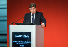 A BKIK adóvégrehajtási moratóriumot kér BKIK-Nagy Elek, elnök