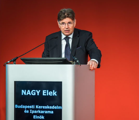 A BKIK adóvégrehajtási moratóriumot kér BKIK-Nagy Elek, elnök