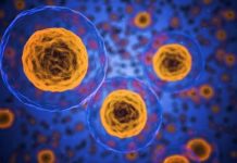 Magyar innováció a rákdiagnosztikában Innováció-egészségügy