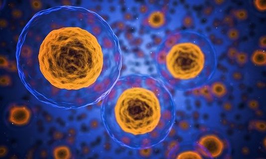 Magyar innováció a rákdiagnosztikában Innováció-egészségügy