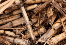 Az energetikai célú biomassza-felhasználás 3,5millió tonnára nőtt Növekvő biomassza ..