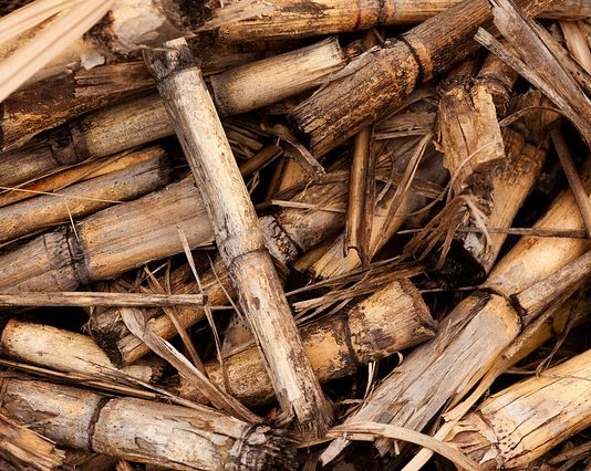 Az energetikai célú biomassza-felhasználás 3,5millió tonnára nőtt Növekvő biomassza ..