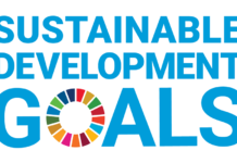 A Toyota a fenntartható technológia fejlesztéseit támogatja Toyota-Fenntartható Felesztési technlológia fejlesztése