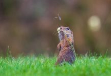 Varázslatos Magyarország fotókiállítás Kocsis Ferenc fotó