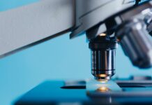 Három kutatónő kapott idén A Nőkért és a Tudományért díjat Nők a tudományért